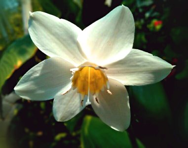Image001.jpg