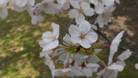 2014-04-11 13.26.25.jpg