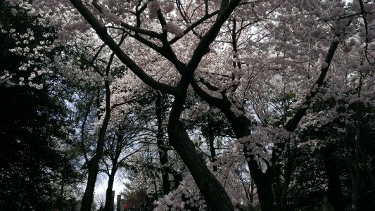 2014-04-11 13.23.27.jpg