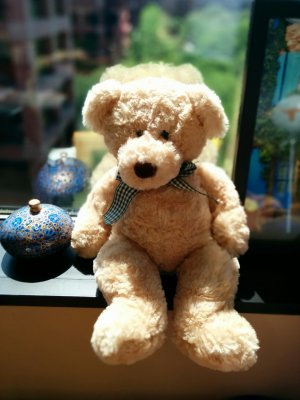 Teddy.jpg