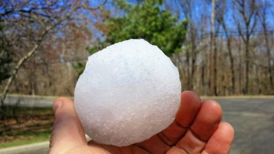 APRIL SNOW BALL IN JERSEY!.jpg