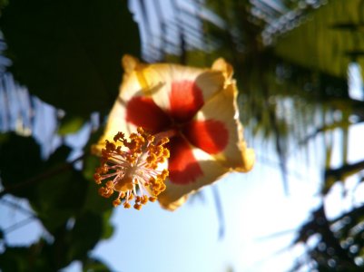 DSC_0560.jpg