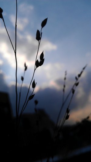 Untitled6.jpg