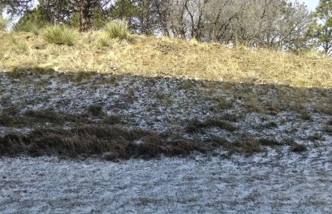 sun_snow.jpg