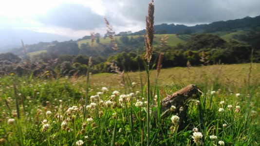afterfocus_1397730772127.jpg