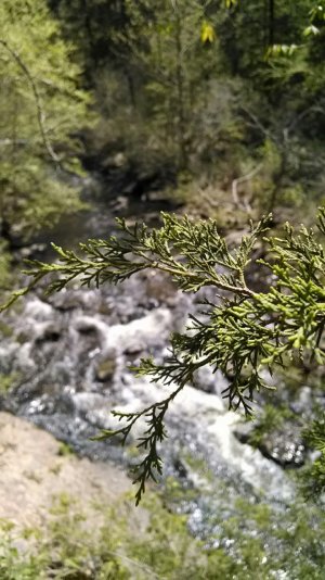 2014-04-17 12.45.59.jpg