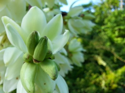 20130615_041714.jpg