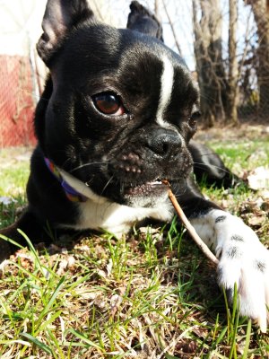20140417_180147_1.jpg
