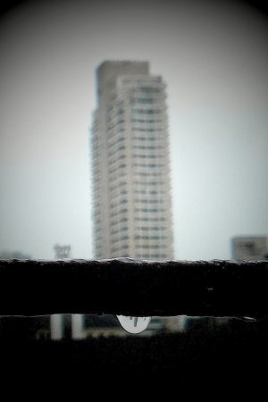IMG_20130614_125115.jpg