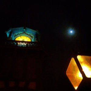 IMG_7938.jpg