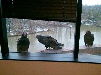 IMG20110315143033_136.jpg