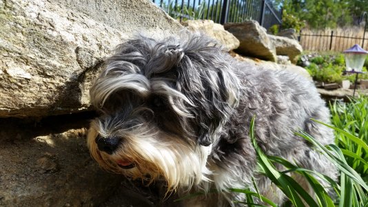 20140413_102634.jpg