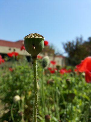 20140325_112508.jpg