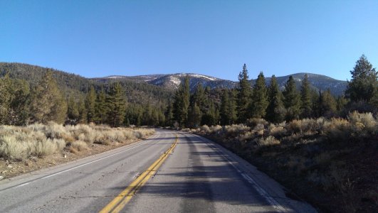 IMAG2668.jpg