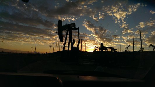 photocontest.jpg