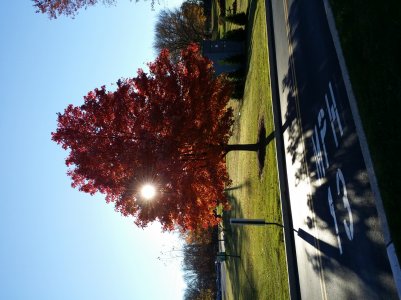 20131111_080640.jpg