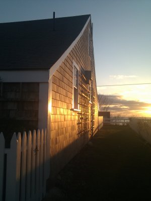 IMG_20101128_065941.jpg