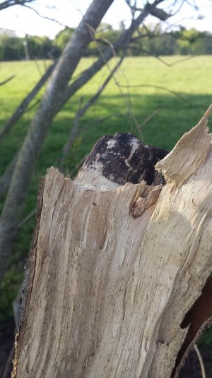 20140412_172228.jpg
