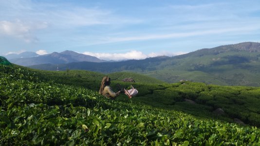 munnar.jpg