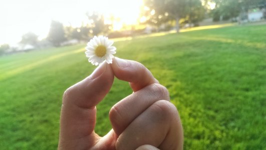 IMAG0159.jpg