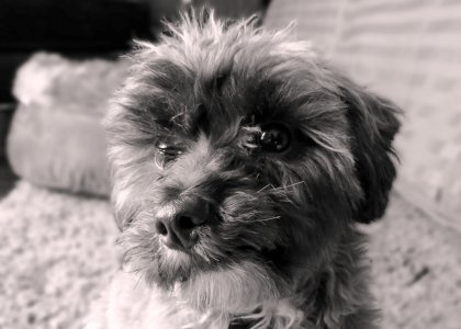 cutestboyever.jpg