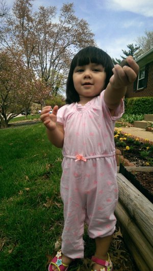 IMAG0034-2.jpg