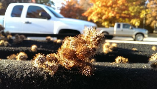 IMAG0849.jpg