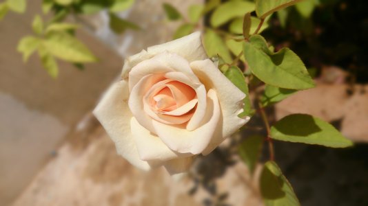 20140316_114430.jpg