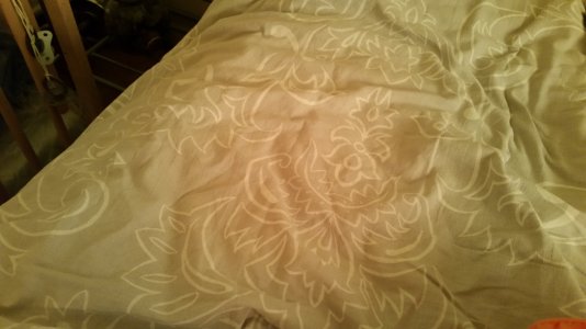 20140419_072530.jpg