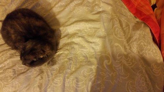 20140419_205541.jpg