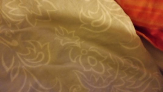 20140419_205552.jpg