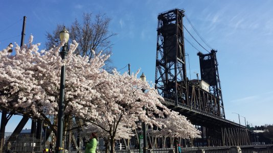 steelbridge.jpg