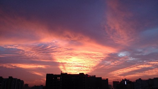 DSC_1448.jpg