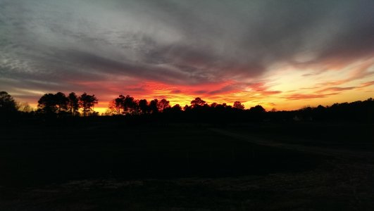 IMAG0723.jpg