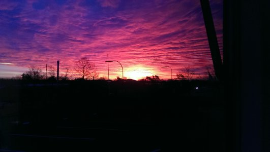 IMAG0186.jpg