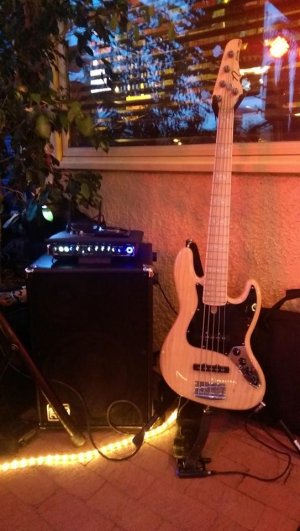Nordy-GK_Baer Bass Rig.jpg