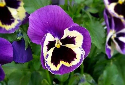 2014-04-15 12.00.26.jpg