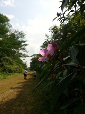 20140205_155634.jpg