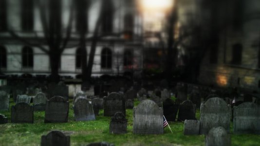 IMAG0660_0.jpg