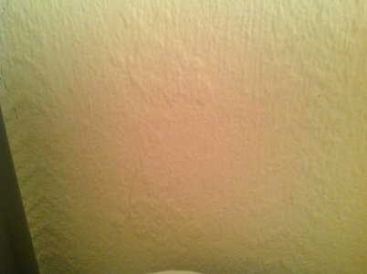 photo 4.jpg