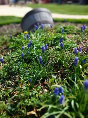 IMG_20140419_151602.jpg