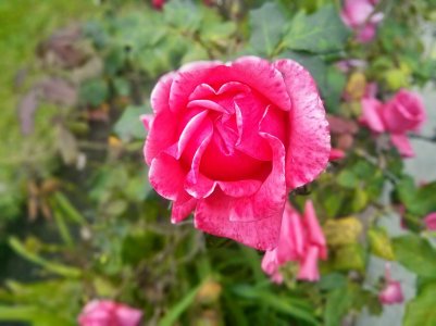 IMG_20140418_114745~2.jpg
