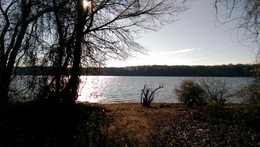 IMAG0017.jpg