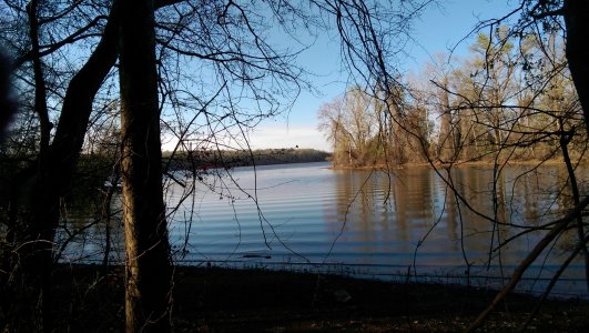 IMAG0016.jpg