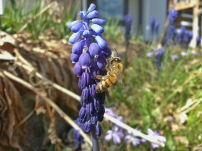 20130428_160624_1.jpg