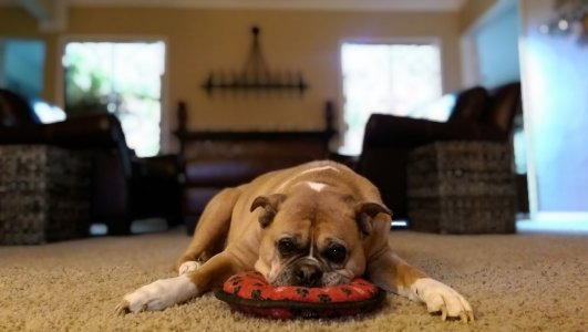 IMAG0103_1.jpg