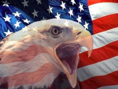 murica3.jpg
