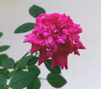 IMAG3057_1.jpg