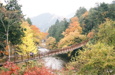 20131124-PB241761.jpg