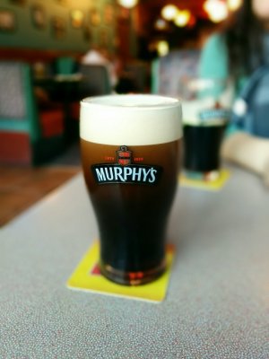 beer.jpg